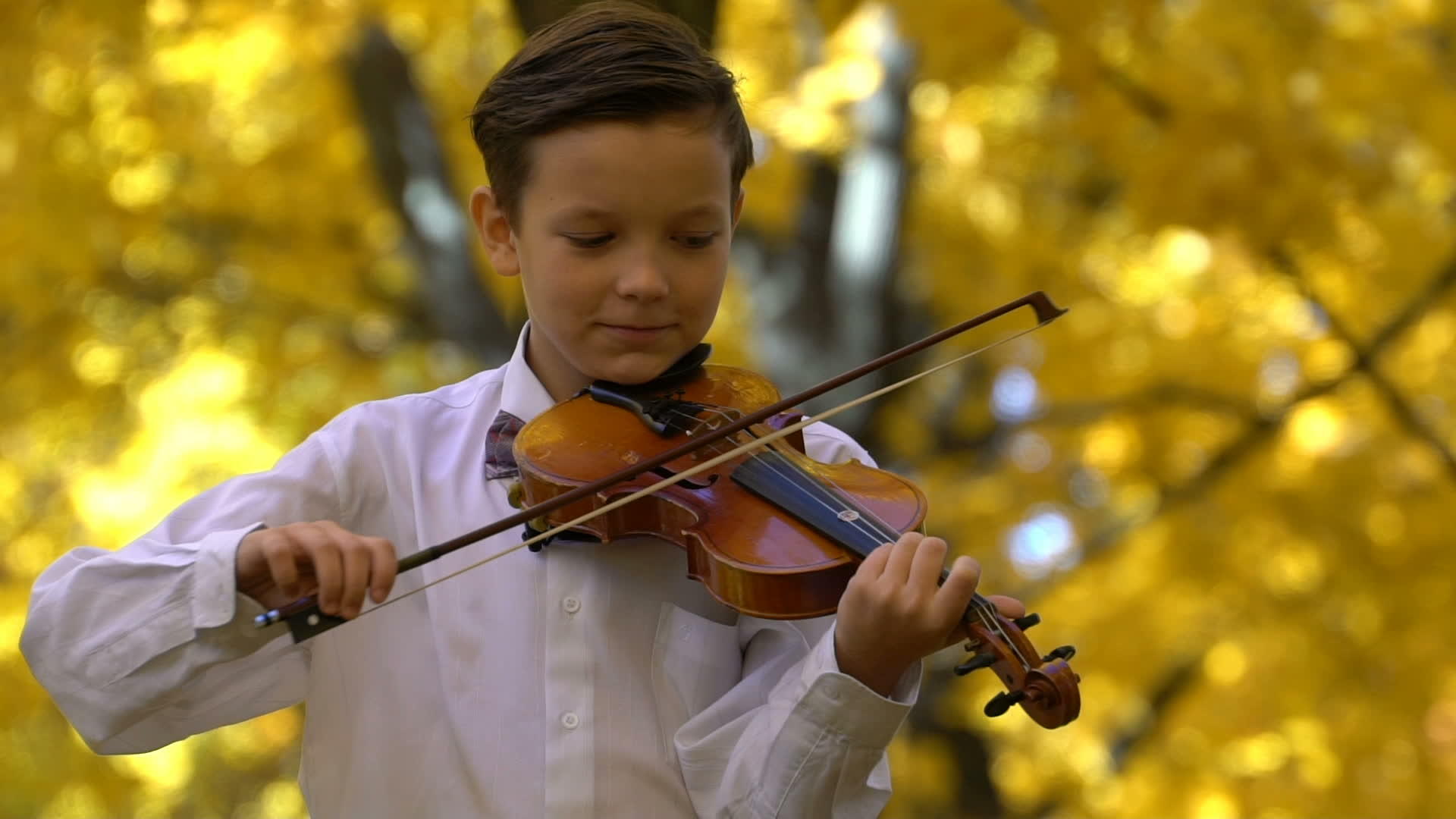 秋天在公园里玩小提琴的年轻人慢动作120英尺视频的预览图