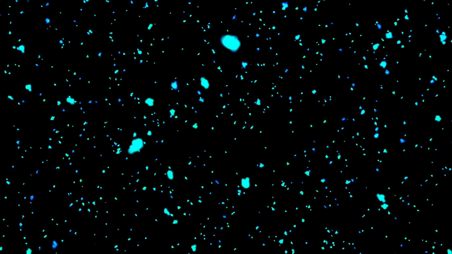 蓝色粒子飘絮视频的预览图