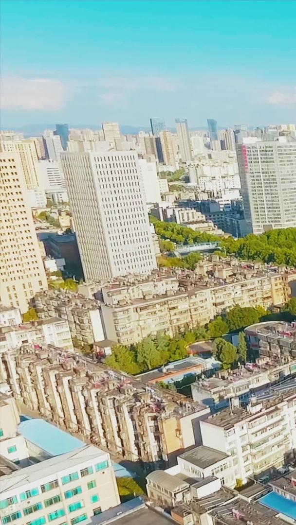 夏季城市花开街景航拍视频的预览图