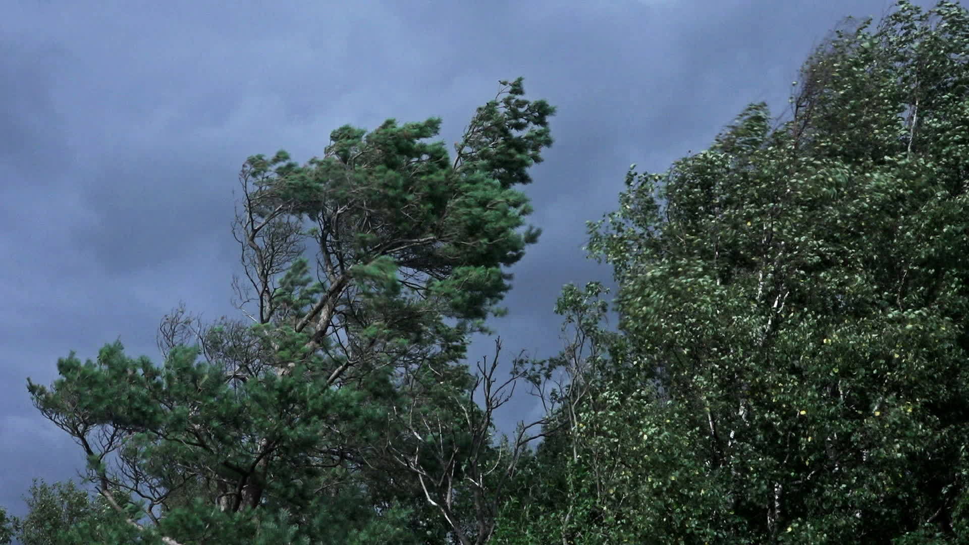 暴风雨天气视频的预览图