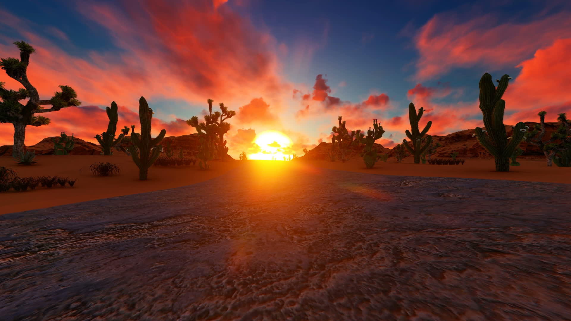 仙人掌和美丽沙漠Joshua美丽的树木日落视频的预览图