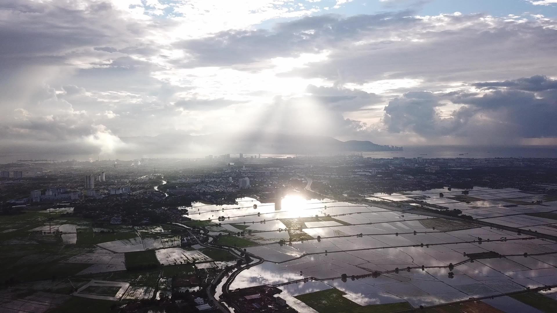 美丽的阳光照耀在稻田上视频的预览图