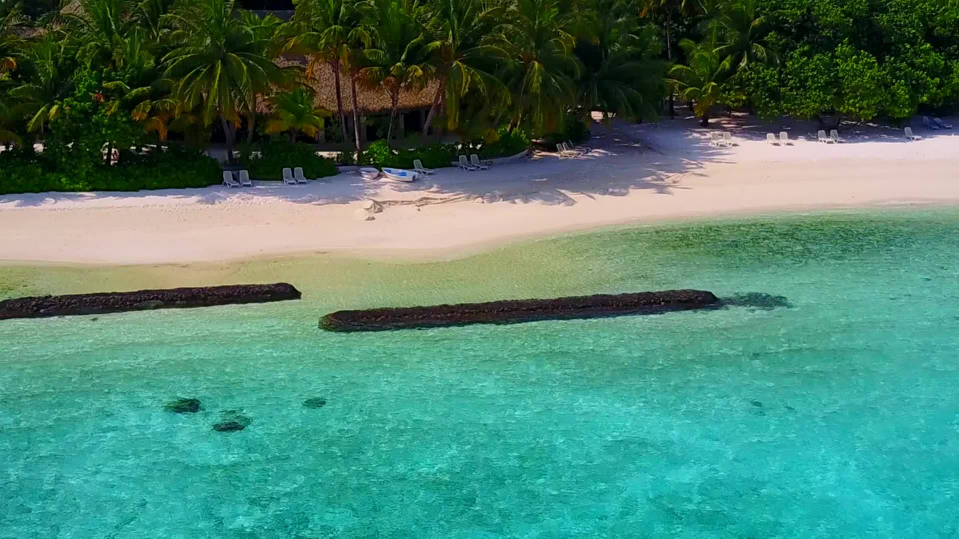 沿着浅海和棕榈树附近干净的海滩旅行视频的预览图