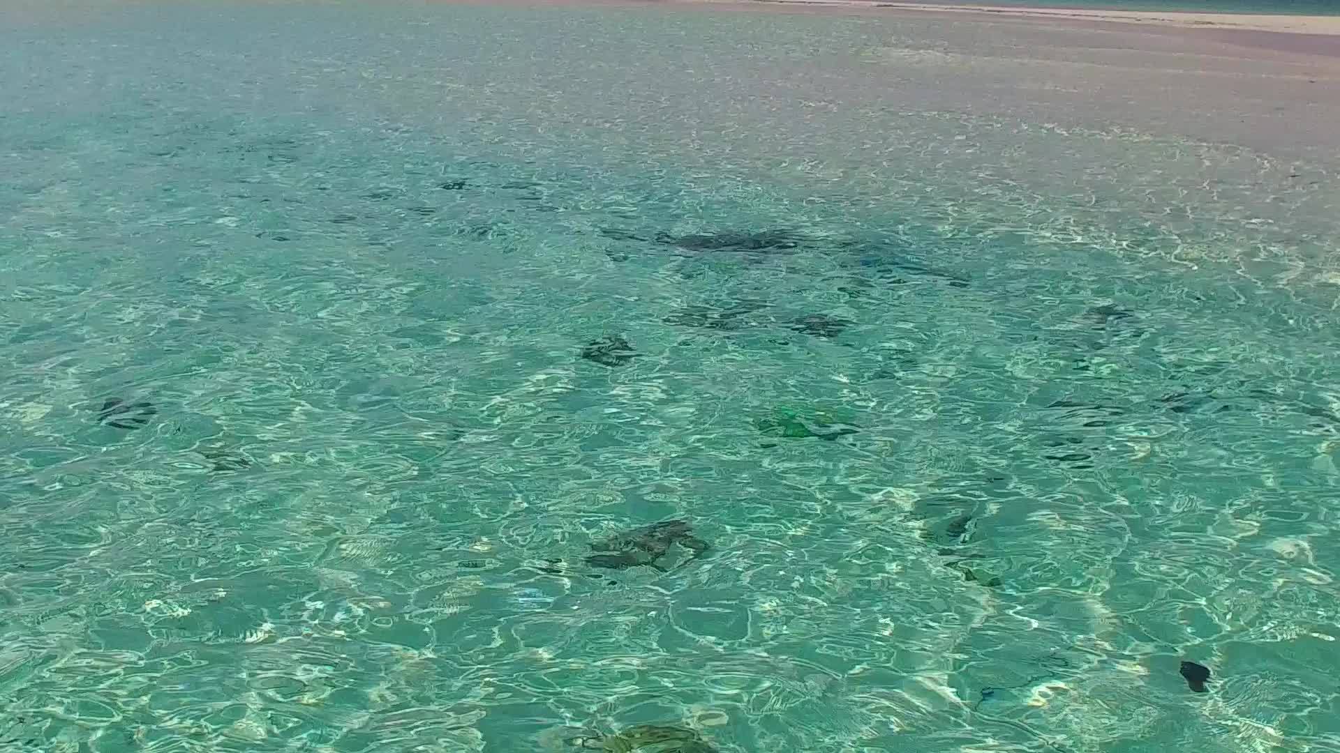 安静的海滩滩上有透明的海洋和靠近珊瑚礁的白沙背景视频的预览图