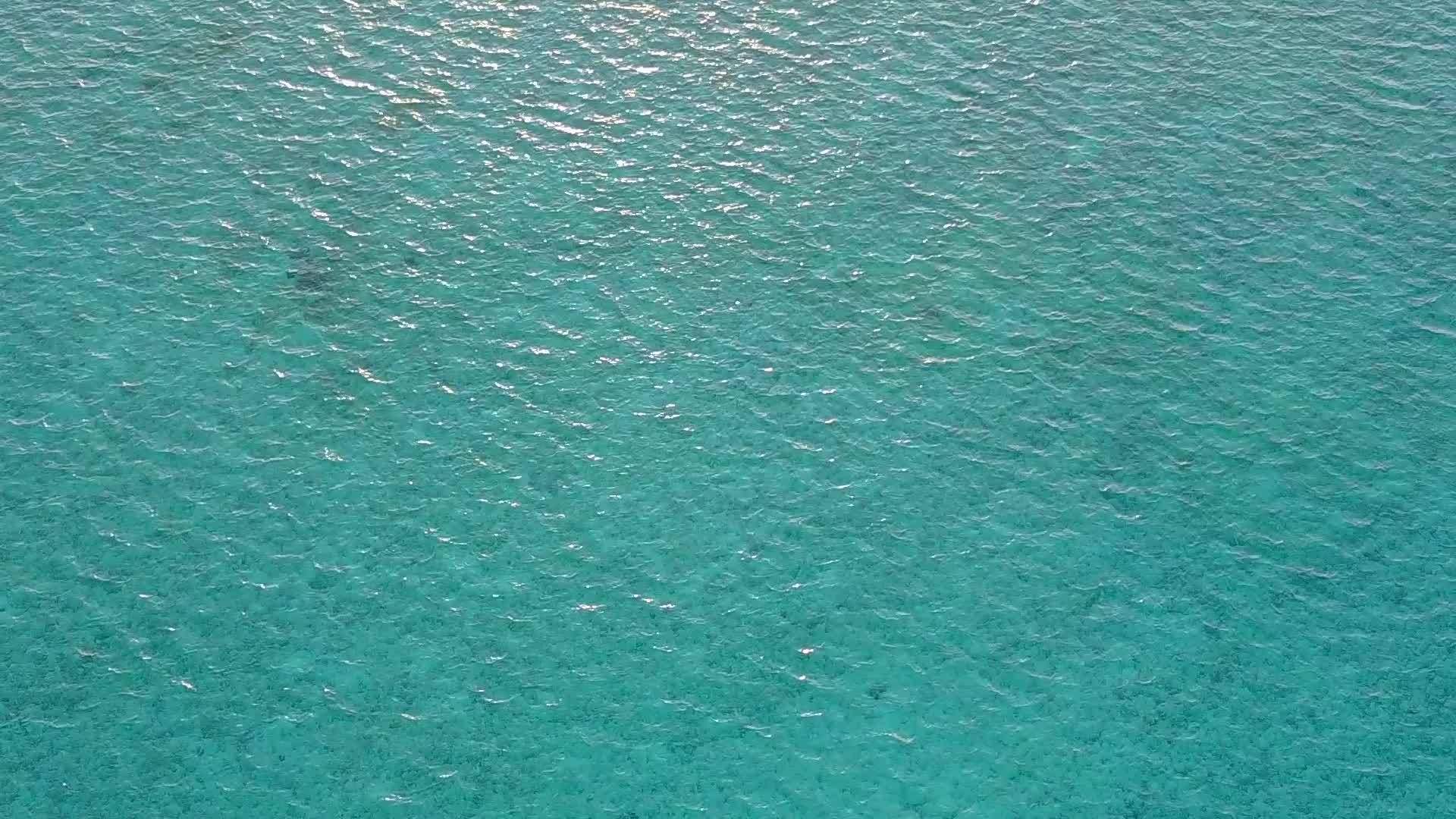 棕榈蓝海和热带海岸线海滩生活方式清洁海滩视频的预览图