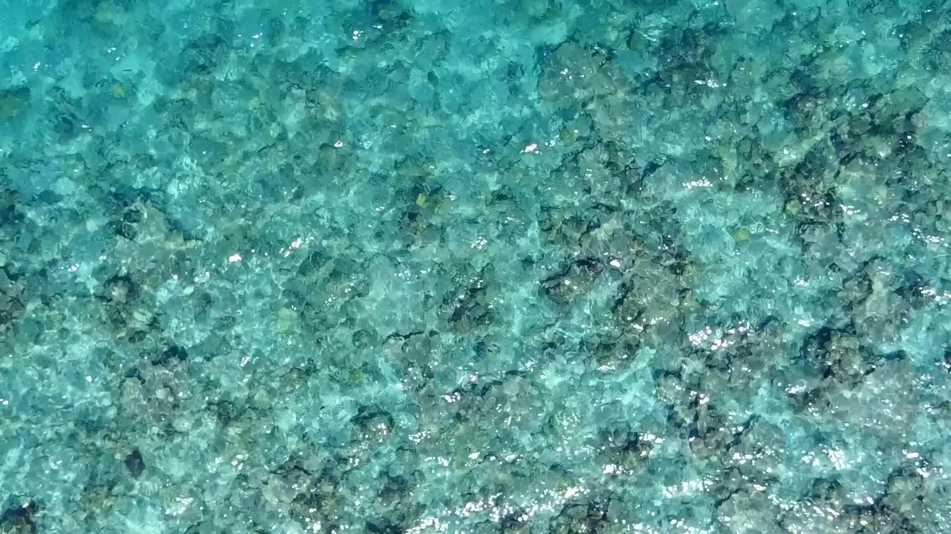 蓝绿色的环礁湖和冲浪的白色海滩背景使天堂岛海滩成为野生海滩视频的预览图
