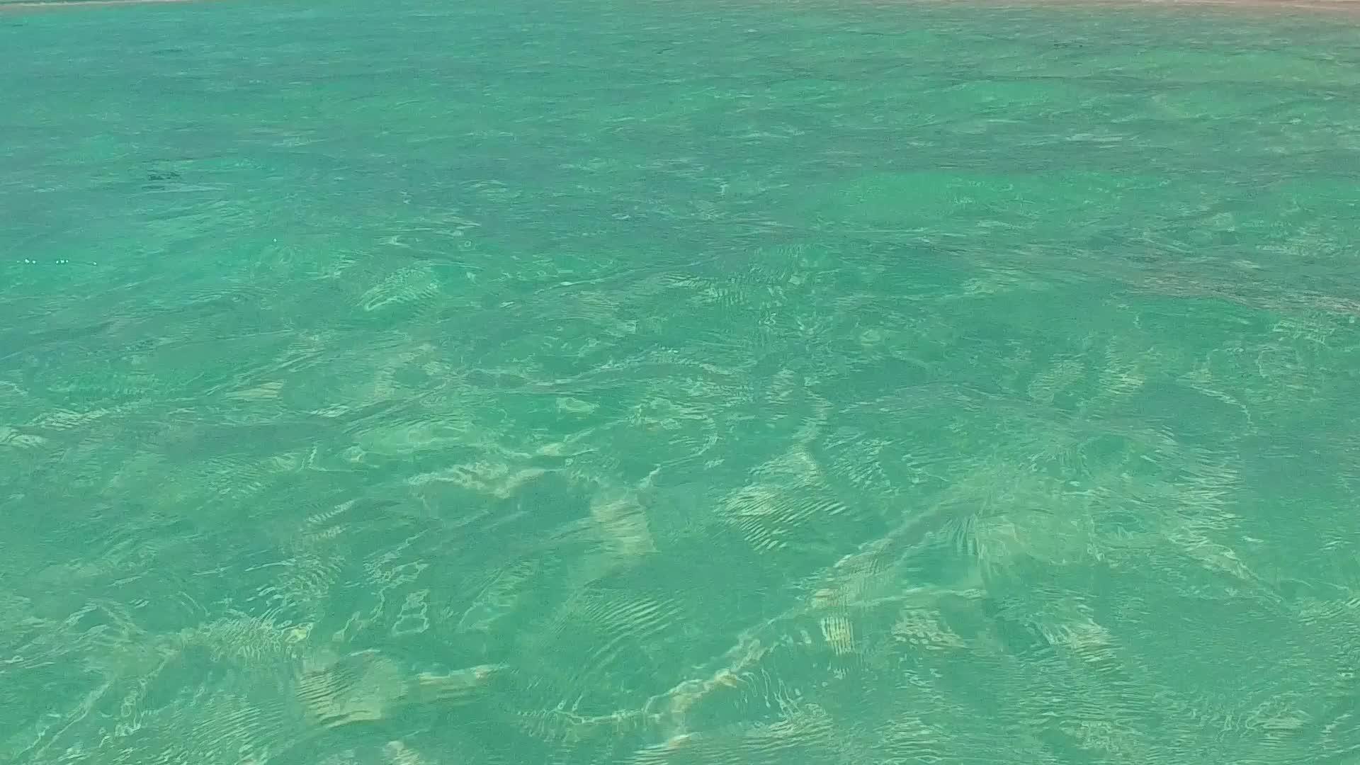 在冲浪附近有明亮的沙土背景使用清晰的环礁湖复制外部视频的预览图