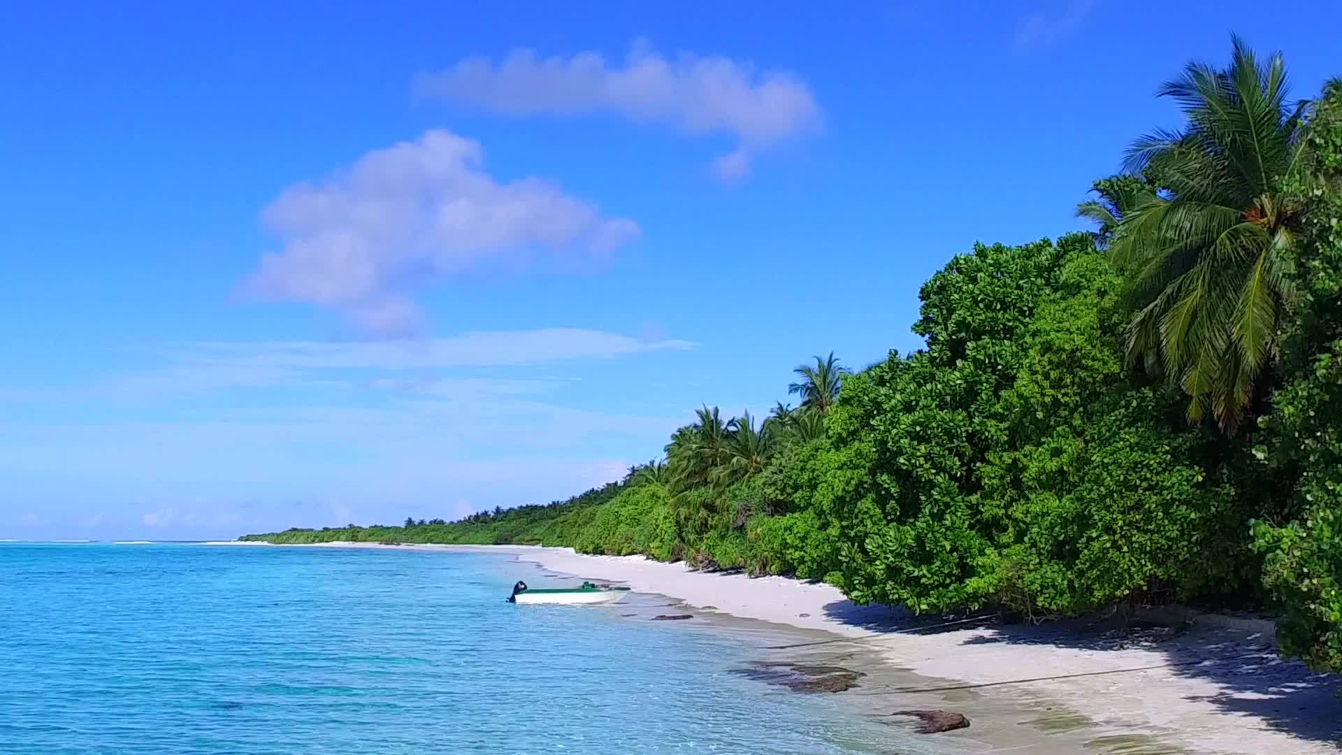 在棕榈树附近的蓝海和白色海滩的背景下沿着海滩过海视频的预览图