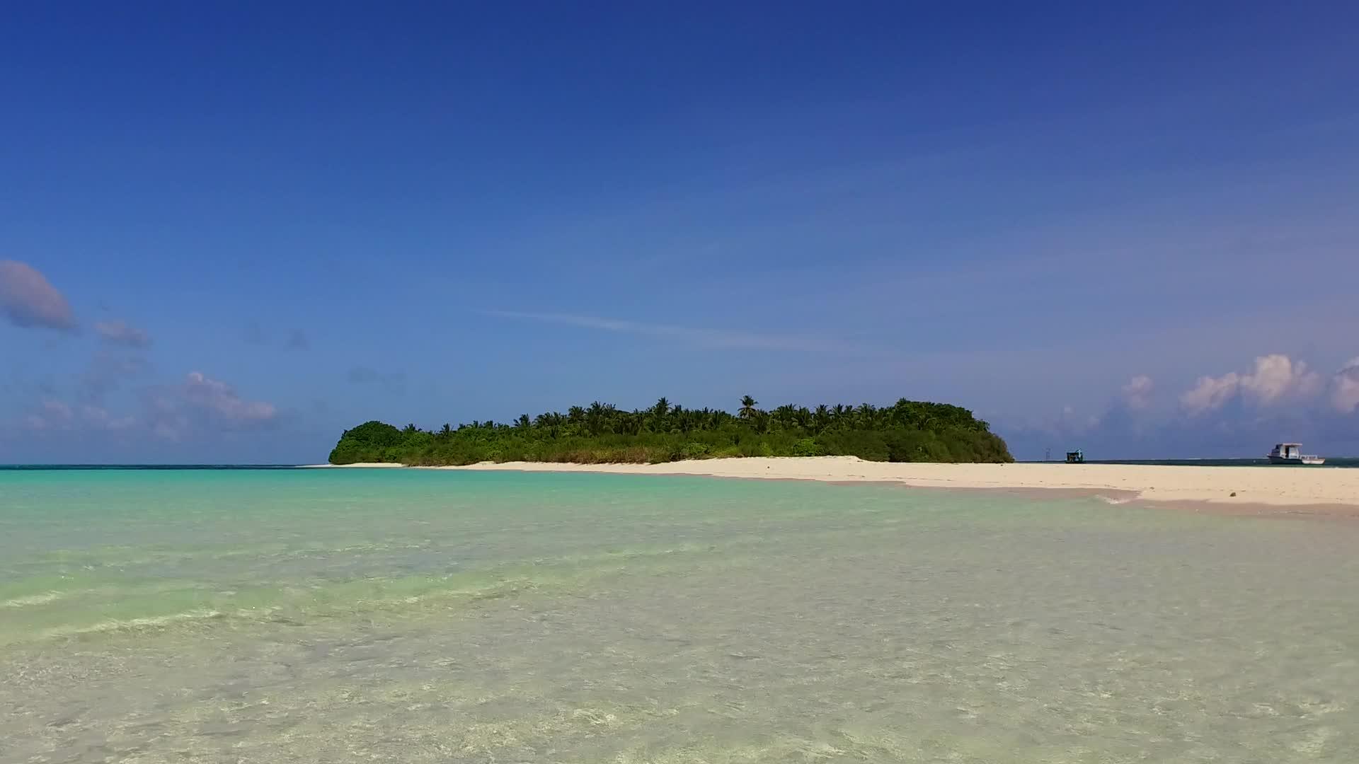 完美的海岸海滩生活基于蓝海和棕榈树附近的白沙背景视频的预览图