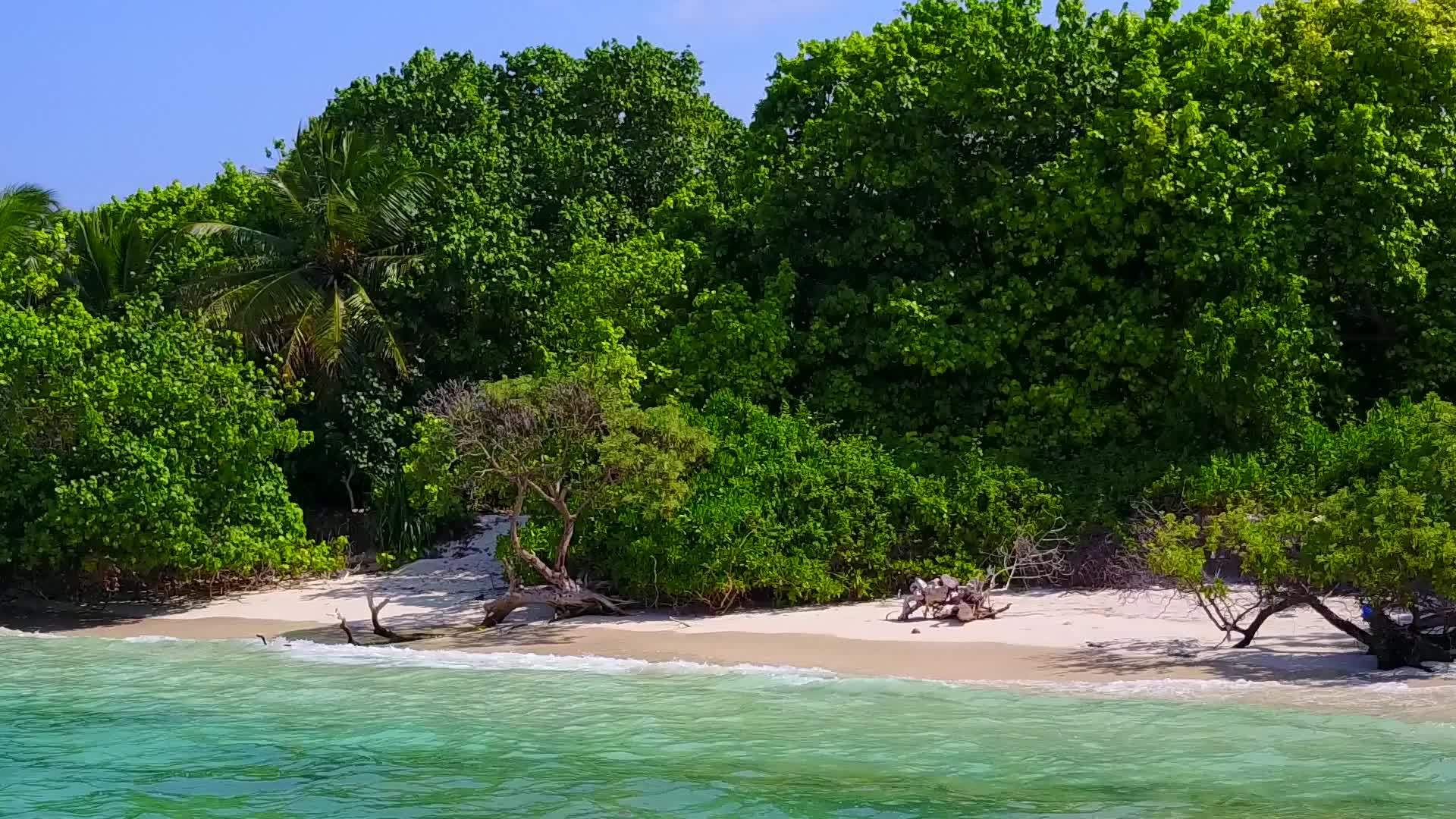 阳光下明亮的沙子背景下透明的水特写了安静的海湾海滩的全景视频的预览图