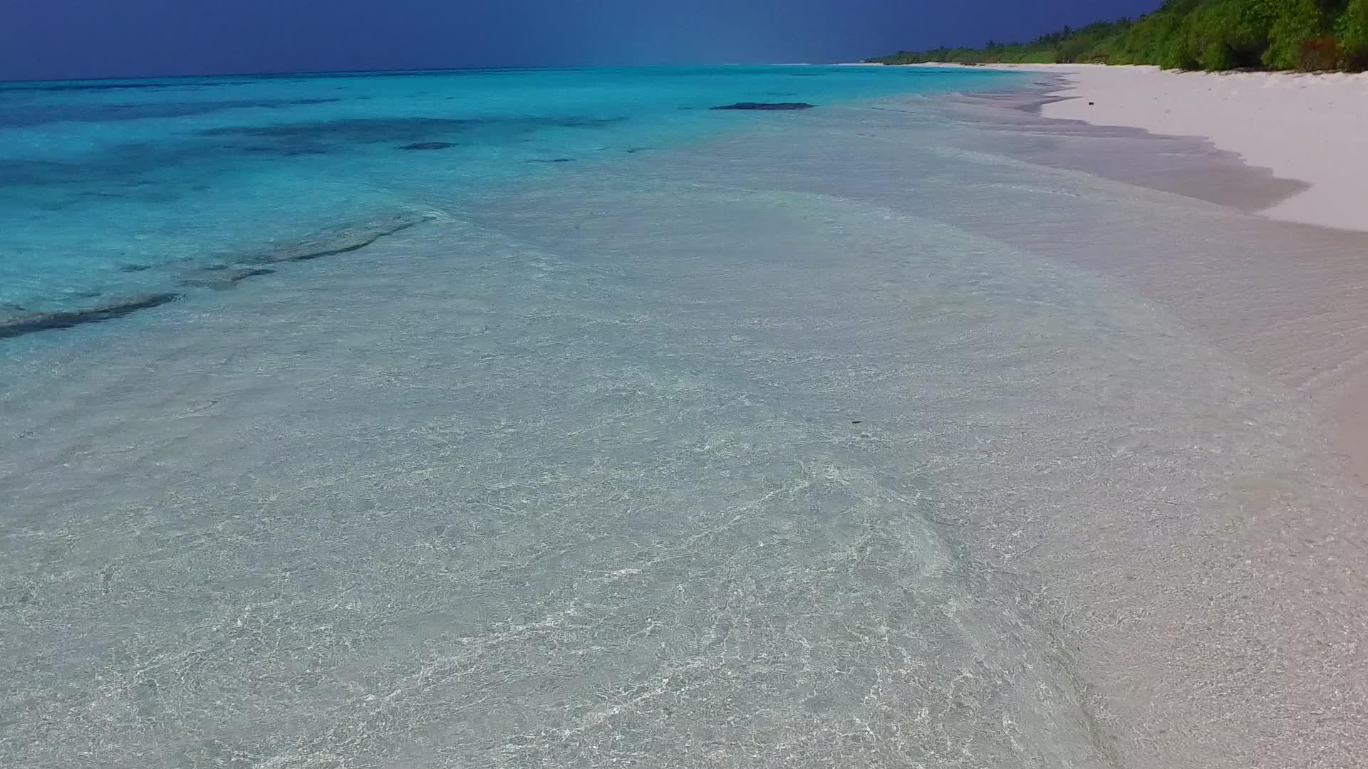 天堂度假胜地景观靠近浅海和棕榈白沙底浅海野生生物视频的预览图