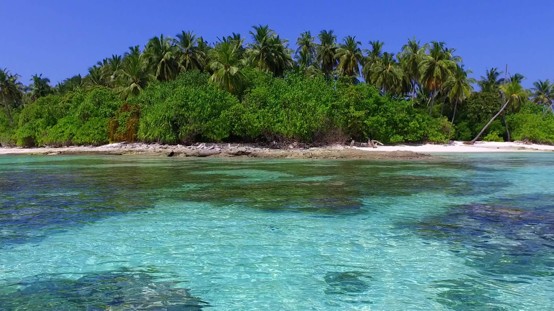 阳光下白沙背景绿松石海宁静海滩白天全景视频的预览图