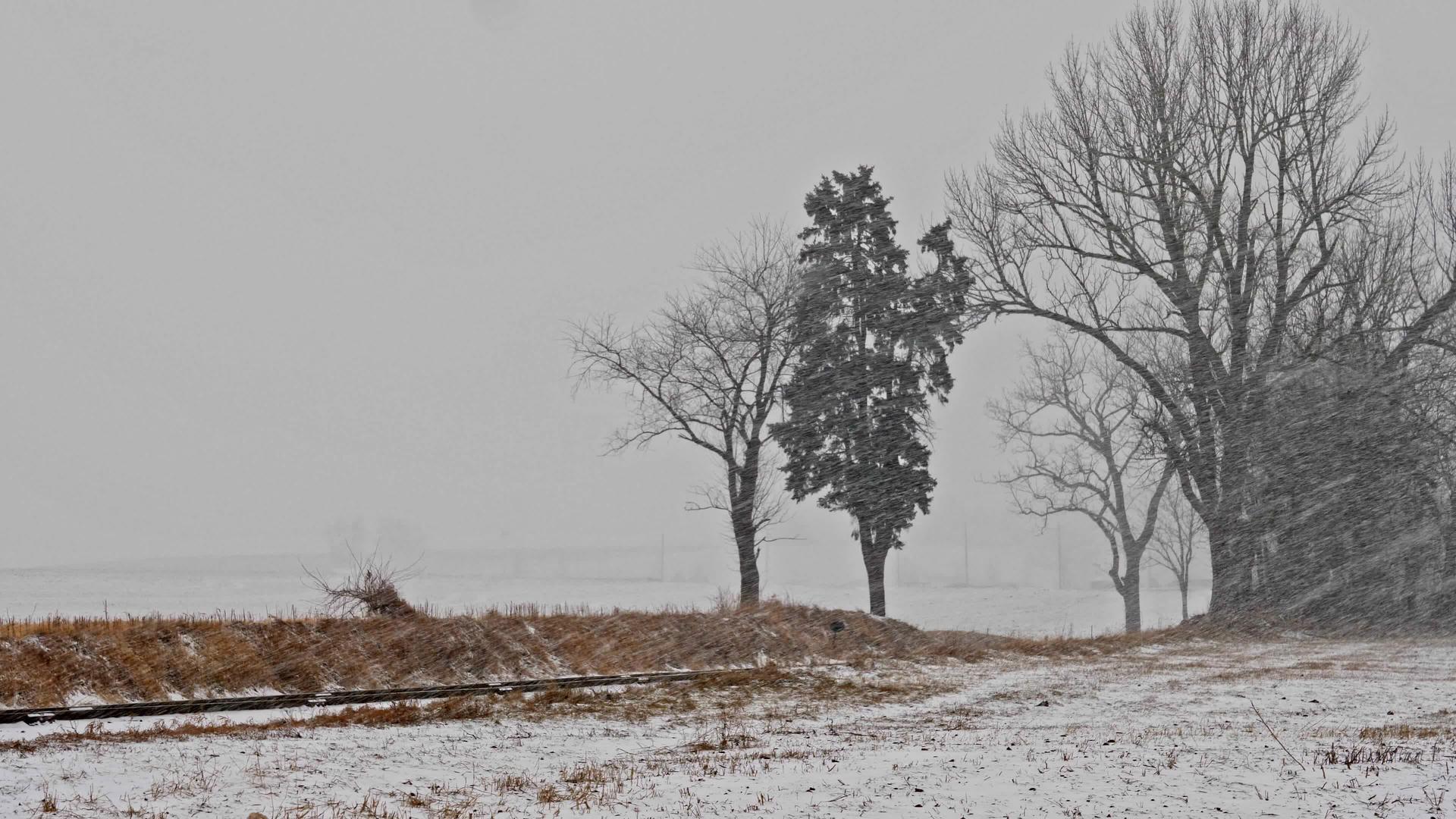 在农田和铁路公路上下雪的冬天有一片暴风雪的景象视频的预览图
