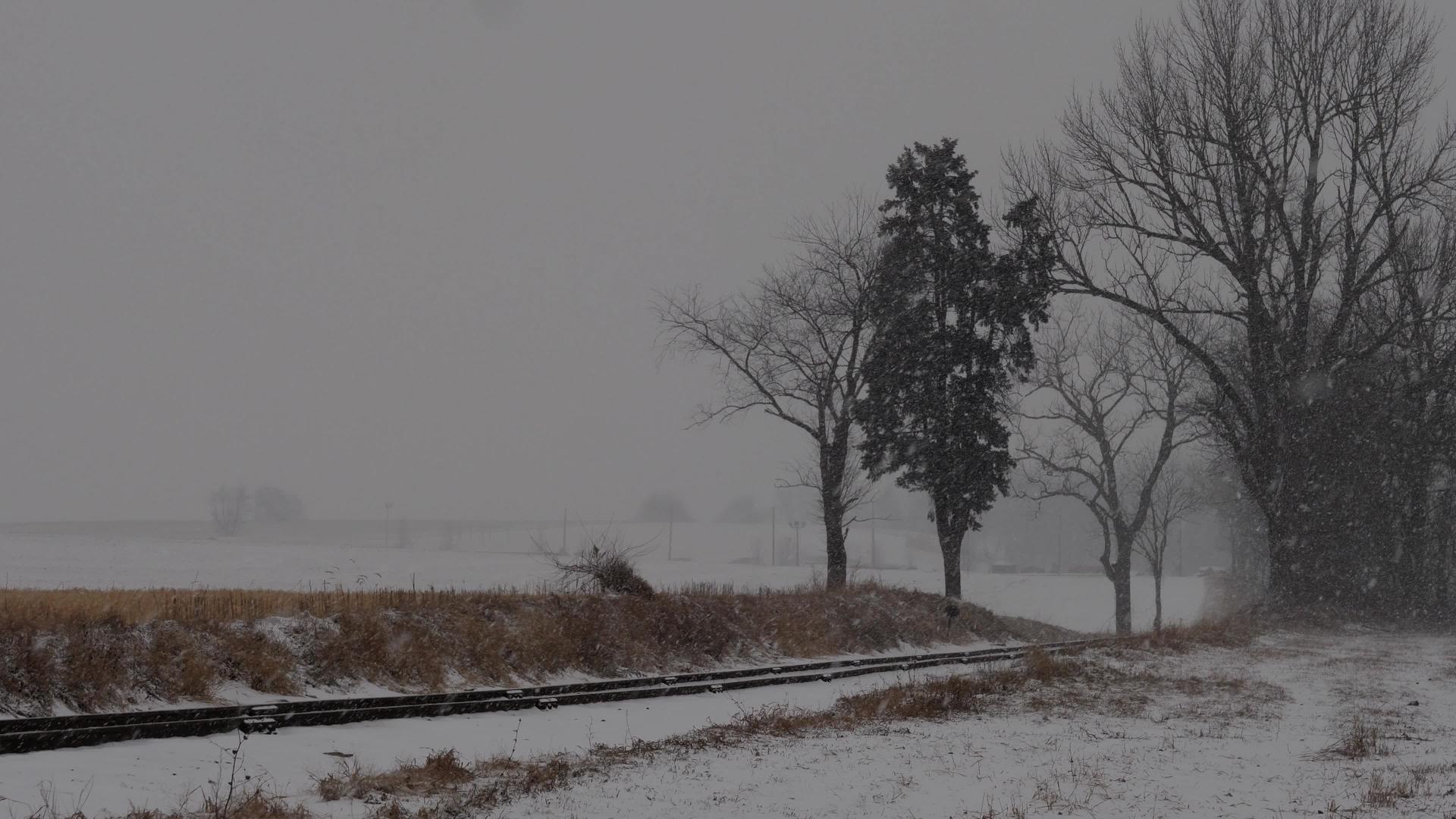 冬天寒风雪雪景视频的预览图