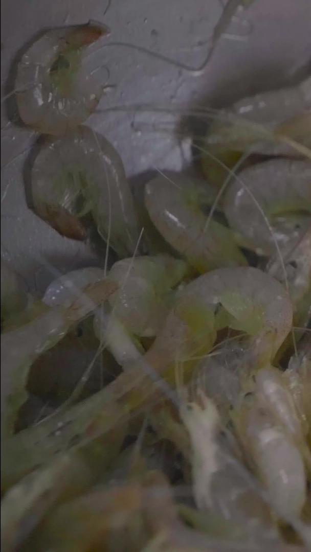 实拍油锅炸虾米实拍素材视频的预览图