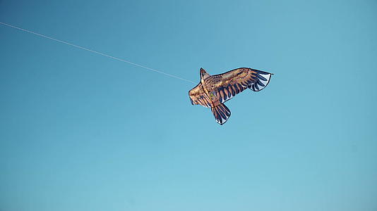 一只五颜六色的风鹰和阳光在深蓝色的天空中飞舞视频的预览图