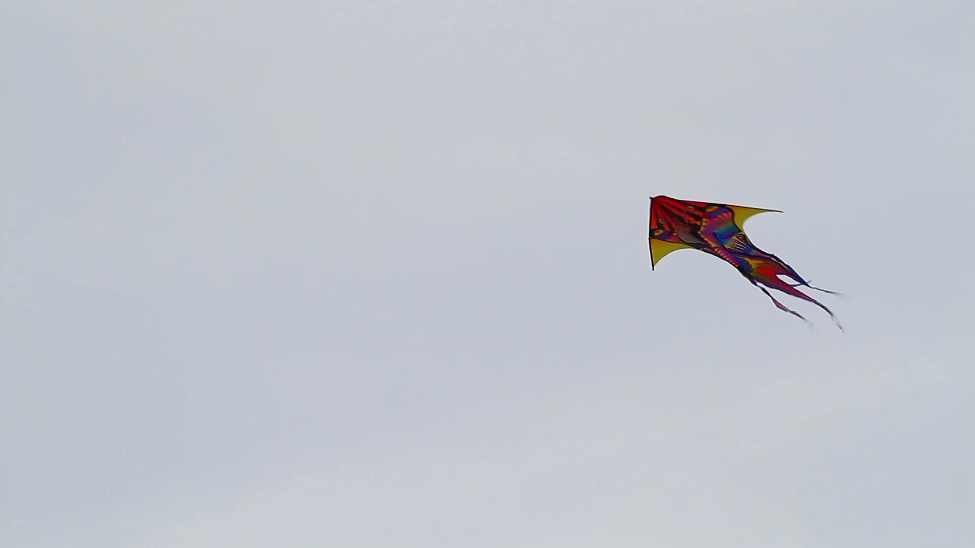 风筝在高空飞翔视频的预览图