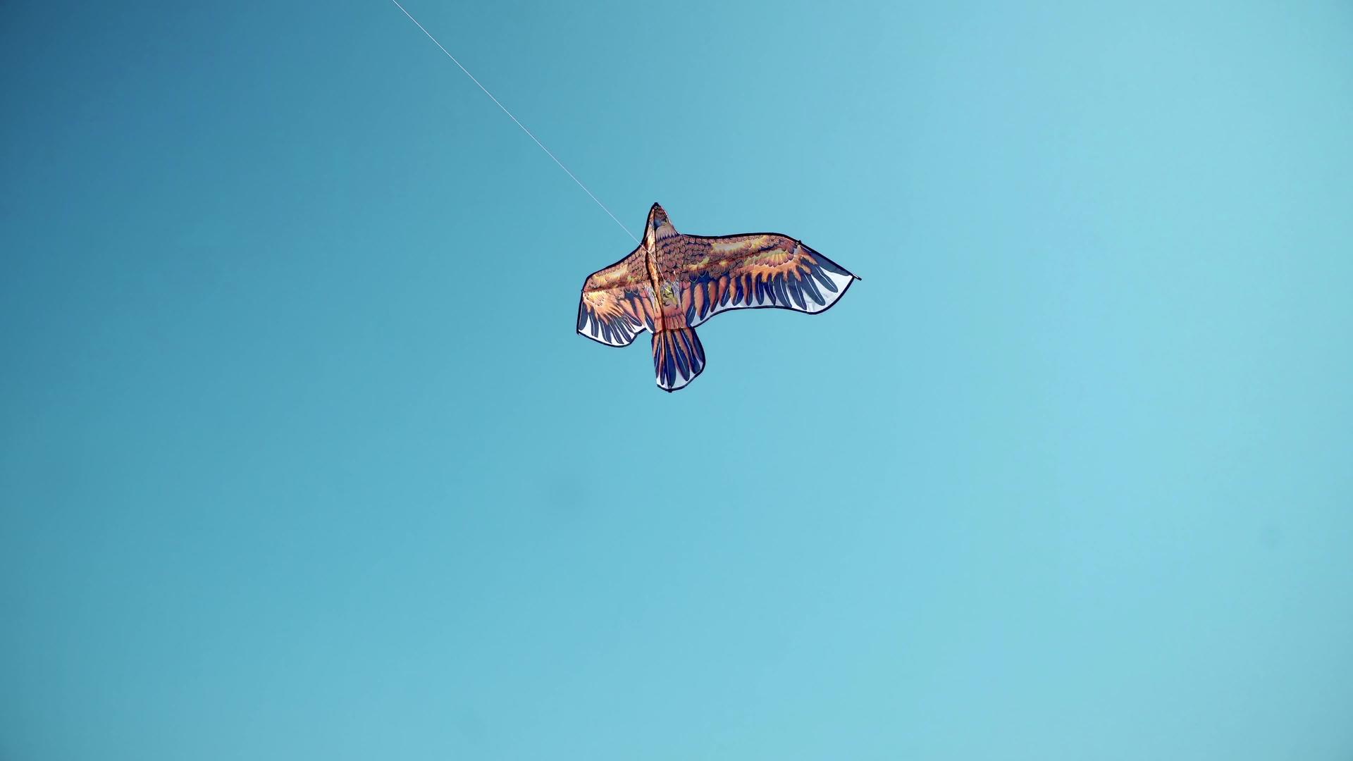 风筝飞行自由和在蓝天中飘浮的暑假概念视频的预览图