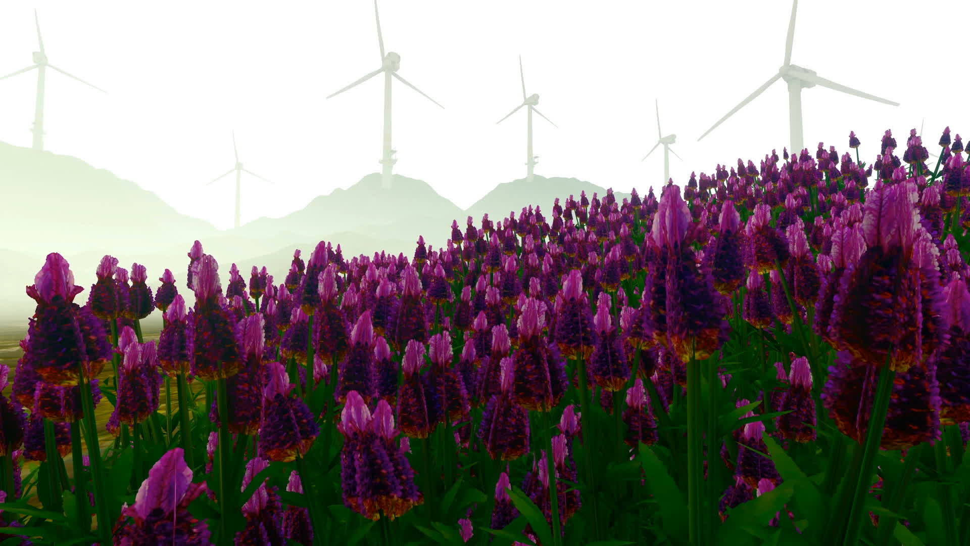 风中摇曳的花朵和背景中的风力涡轮机视频的预览图