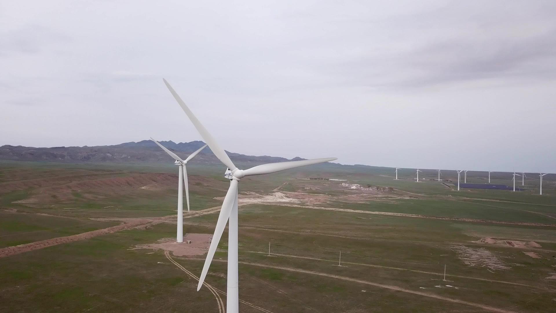 风站在绿地的中间视频的预览图