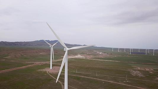 风站在绿地的中间视频的预览图