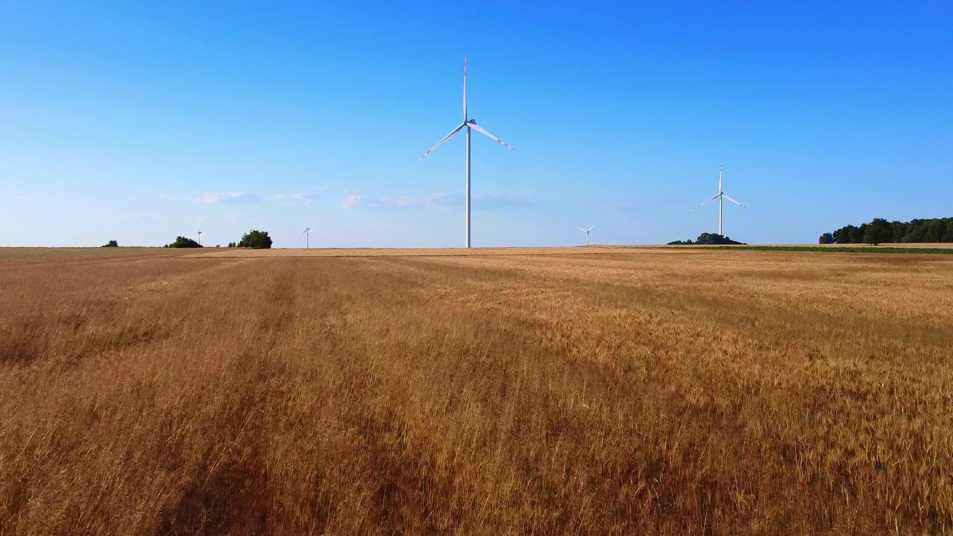 小麦田附近的风能涡轮机视频的预览图