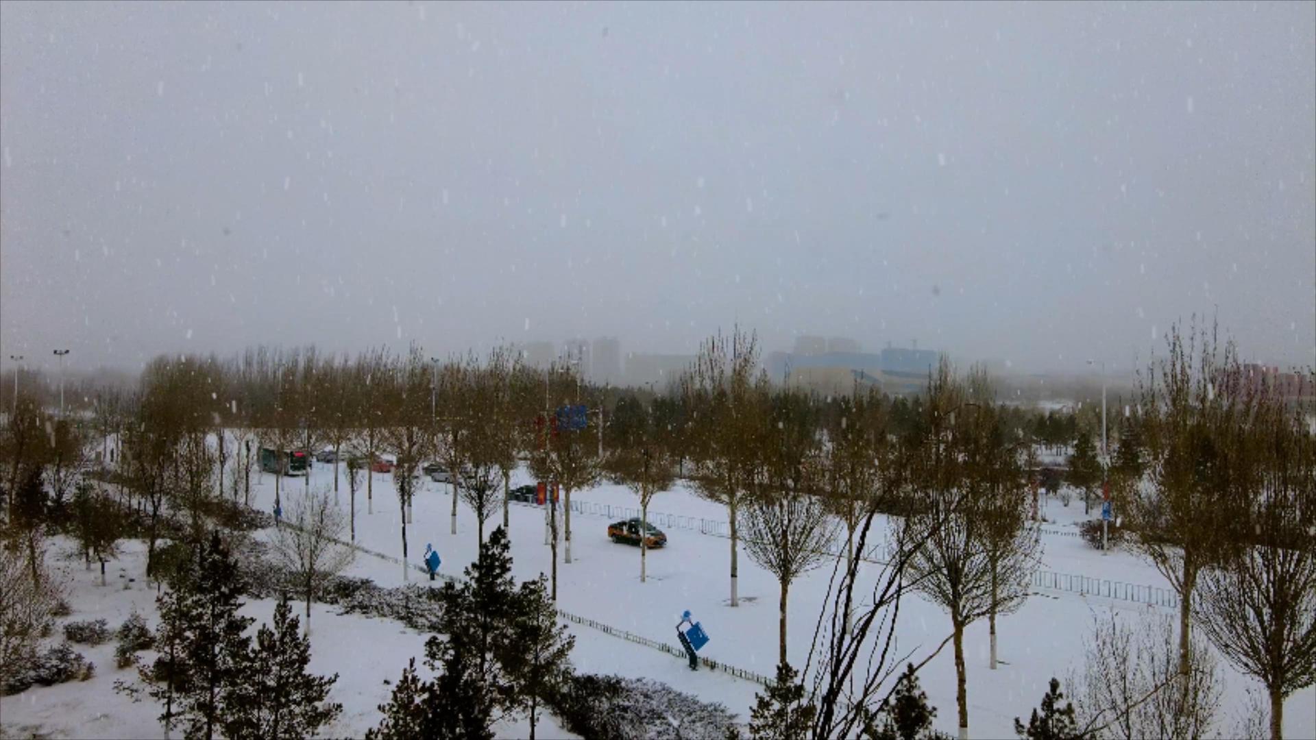 4k固定机位拍摄北方飘雪的城市街道视频的预览图