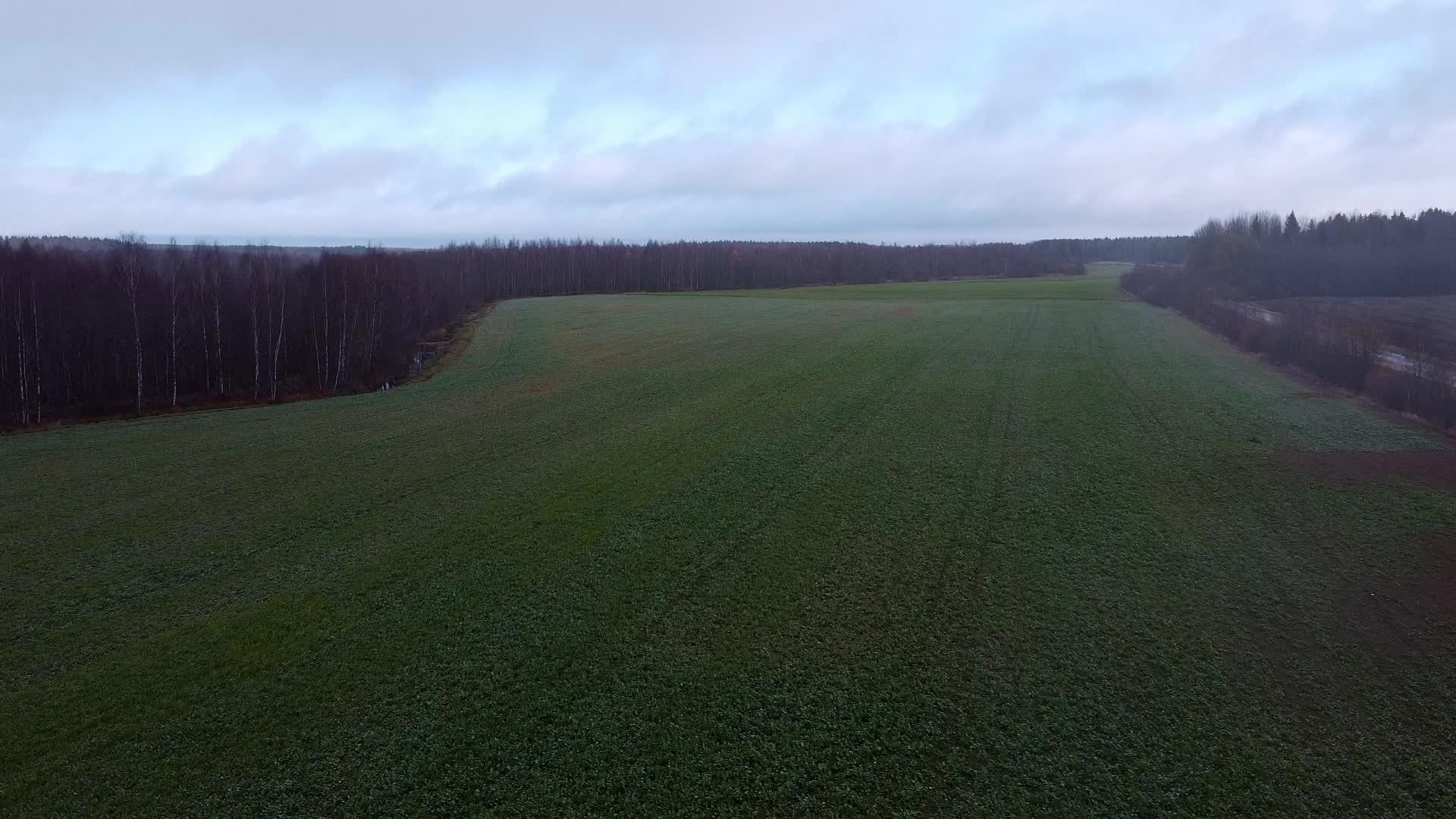 秋天的清晨无人驾驶的无人机飞过乡村绿地视频的预览图