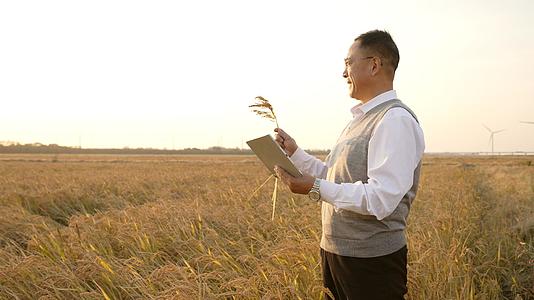 田野中查看水稻的农业研究人员视频的预览图