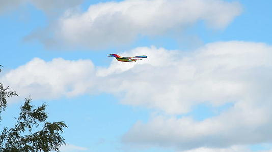 彩虹风筝在天空飞翔视频的预览图