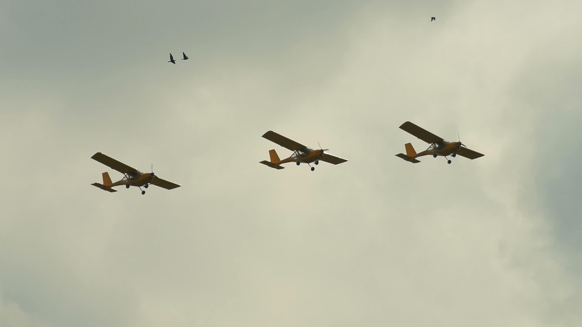 三架轻型飞机在天空中表演视频的预览图