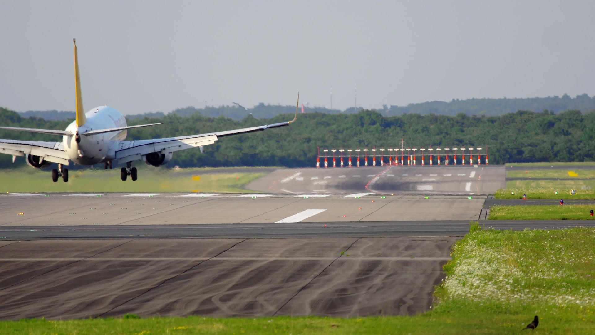德国机场降落在机场视频的预览图