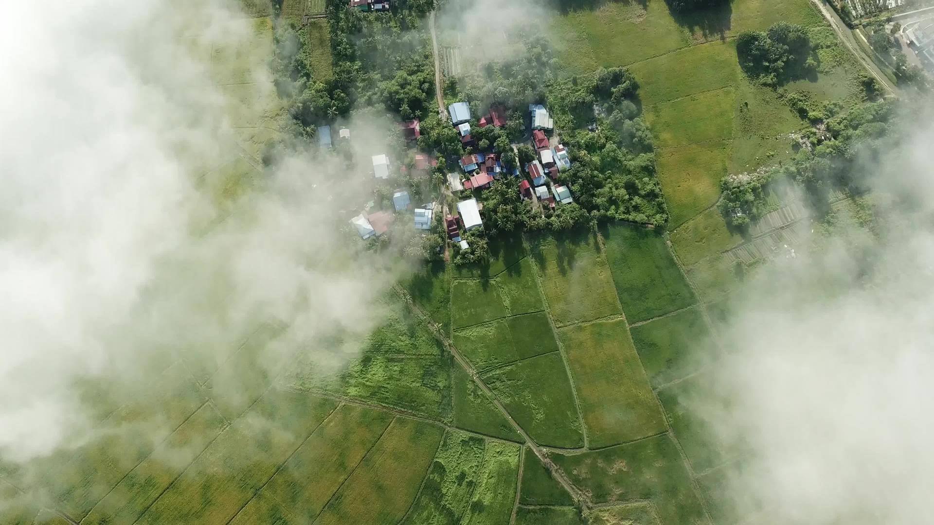 在空中往下看绿色的稻田在白云上视频的预览图