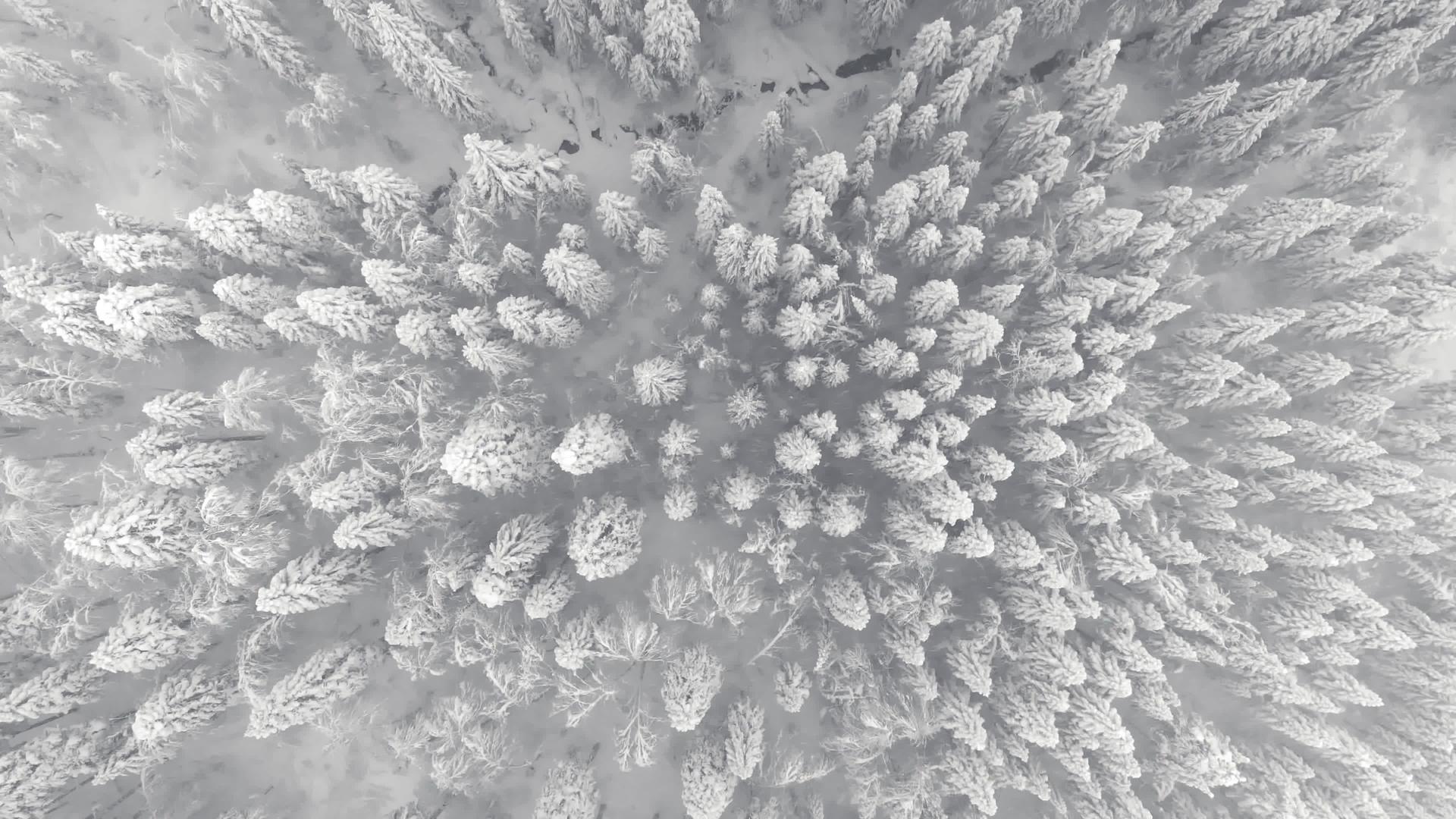 山林中的空中风景视频的预览图