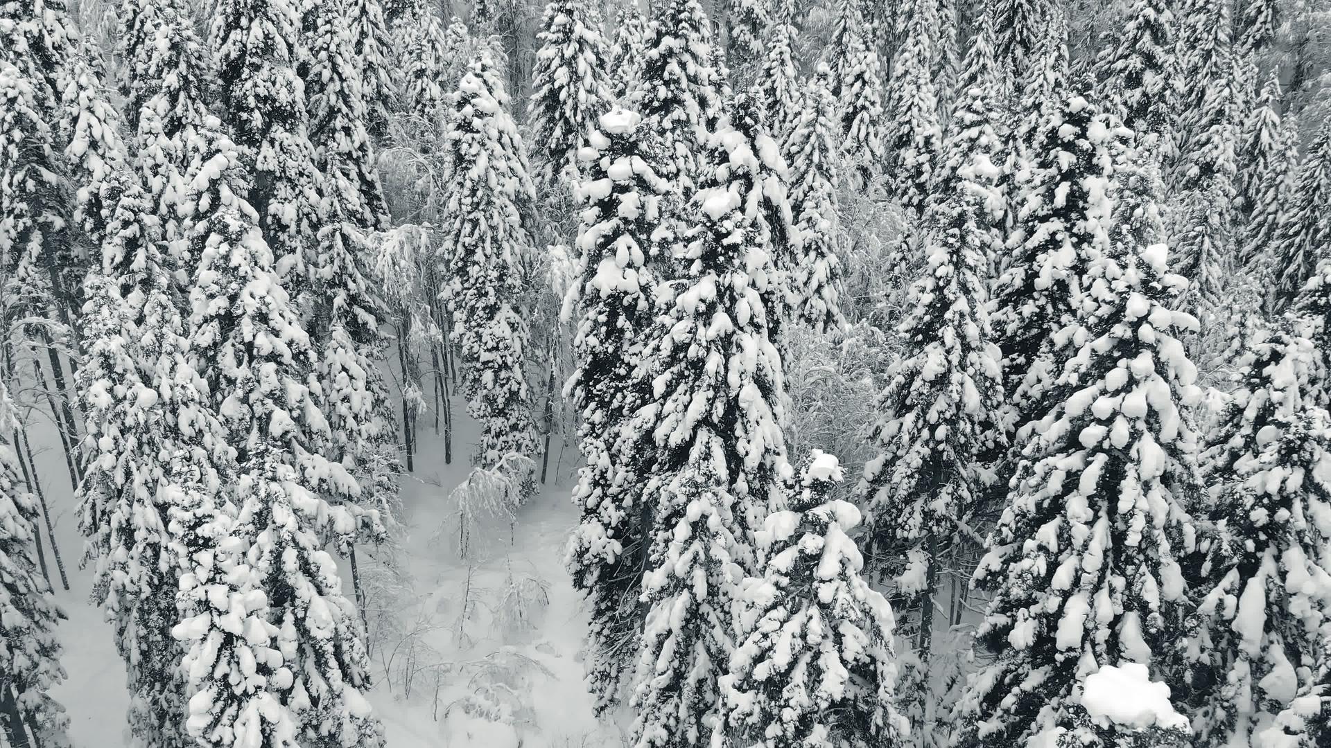山林中的空中风景视频的预览图