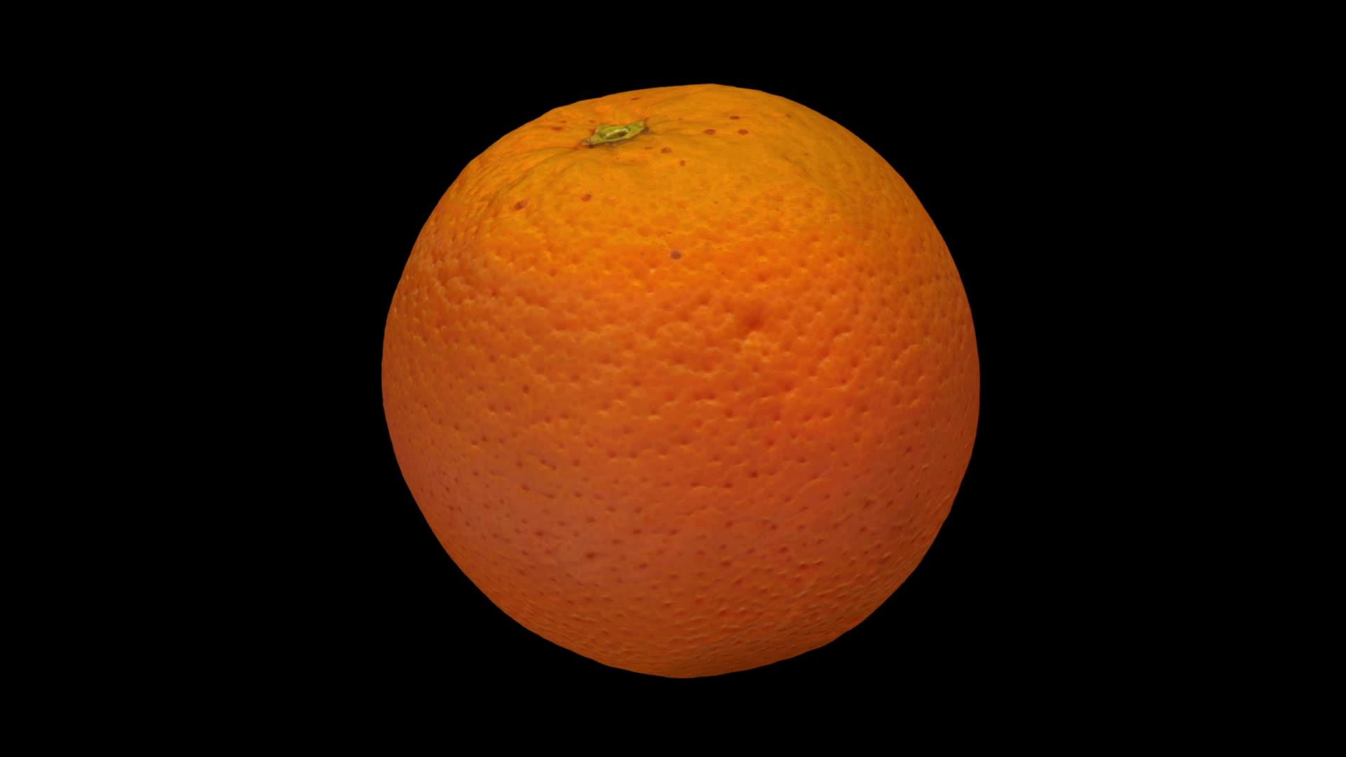 在黑色背景1上旋转橙色视频的预览图