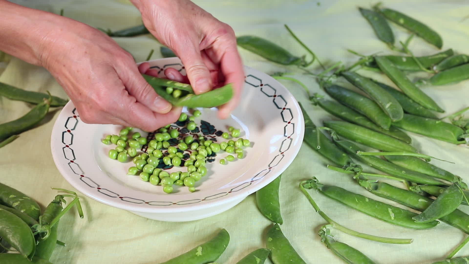 贝壳新鲜豌豆视频的预览图