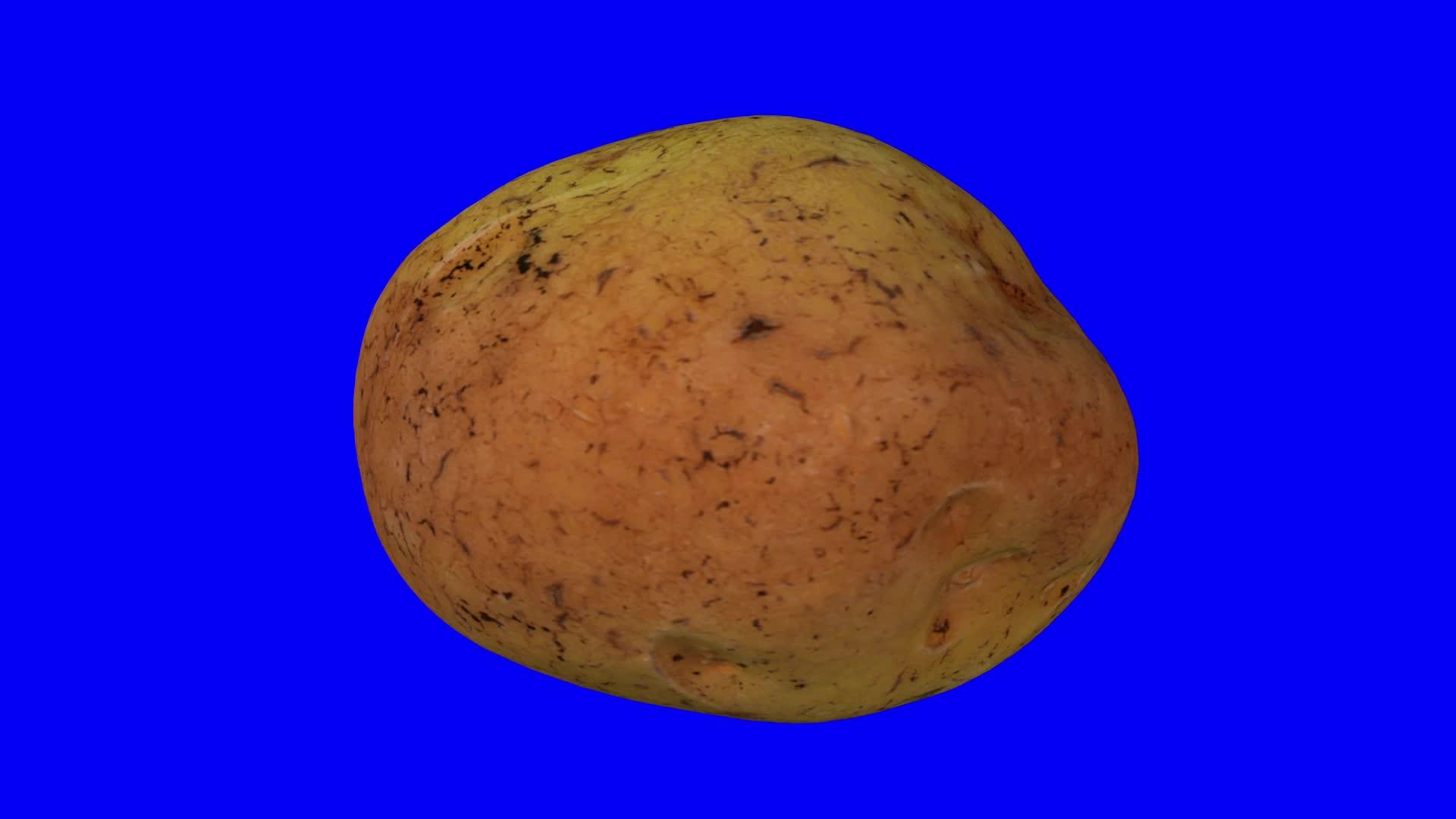蓝色土豆在蓝色背景上旋转02a视频的预览图