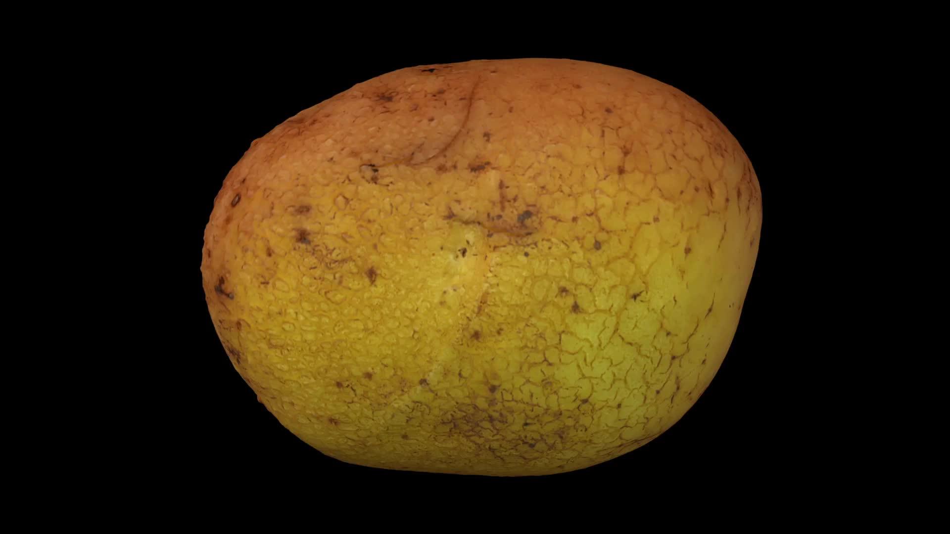 黑底土豆在黑色背景上旋转1c视频的预览图
