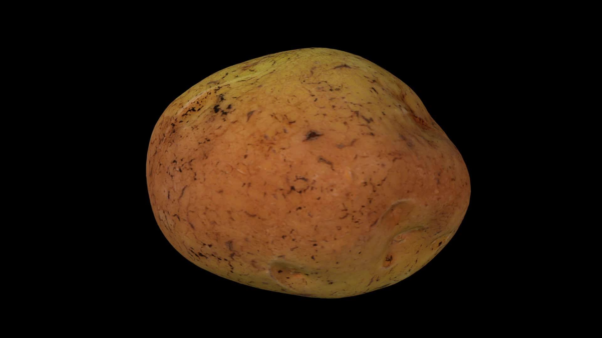 黑底土豆在黑色背景上旋转02a视频的预览图