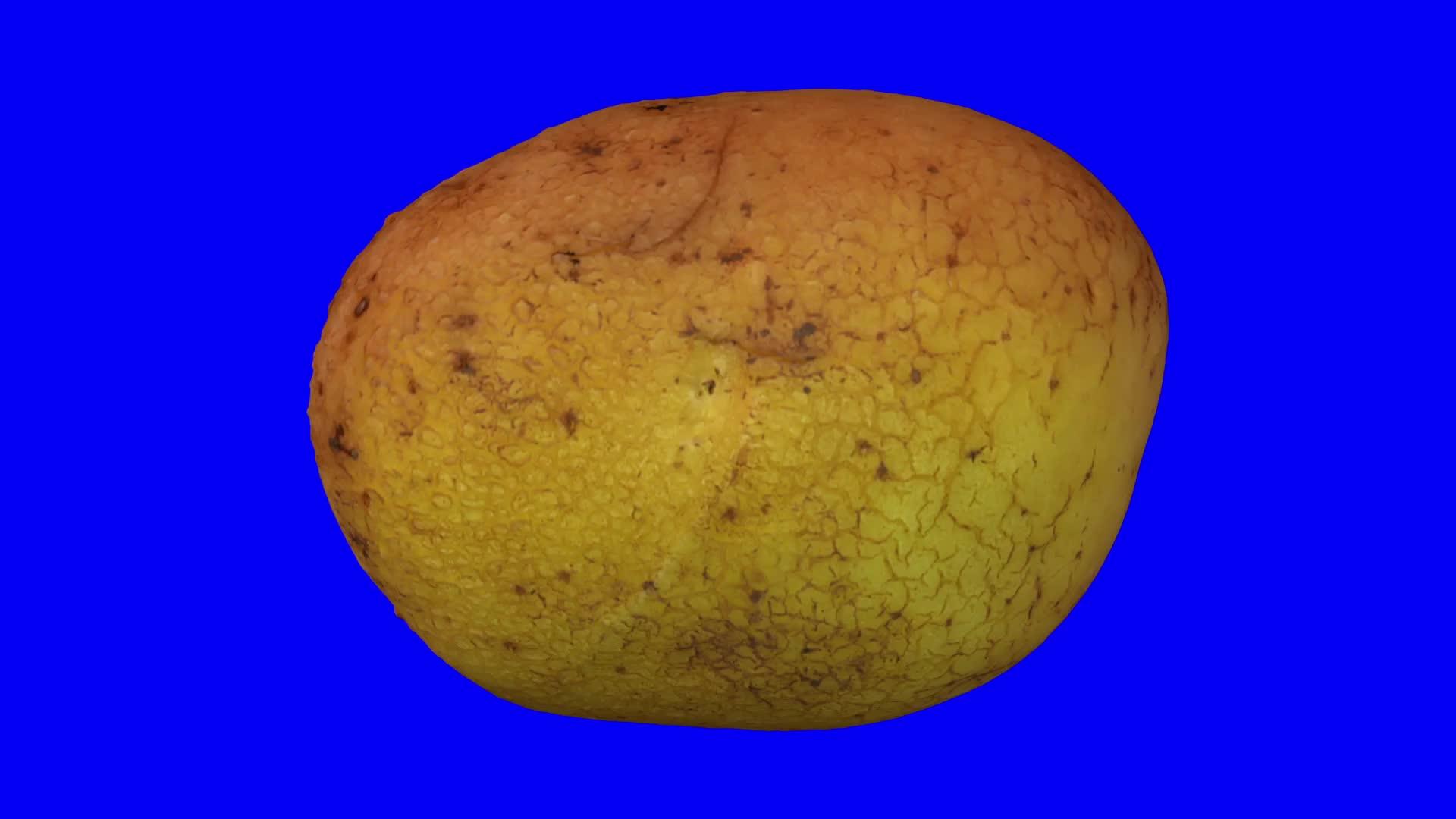 蓝色背景土豆旋转1月1日c视频的预览图