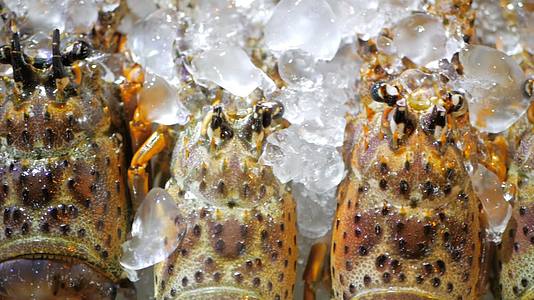 冰上的新鲜龙虾在亚斯脊骨龙虾吃街上的食物视频的预览图