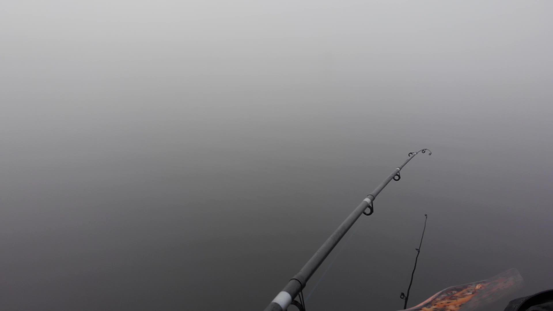 钓鱼棒在湖边的长雾中诱骗了芬兰湖视频的预览图