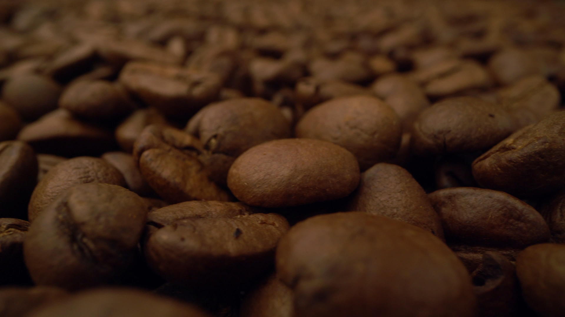 咖啡豆背景关闭咖啡种子的种子视频的预览图