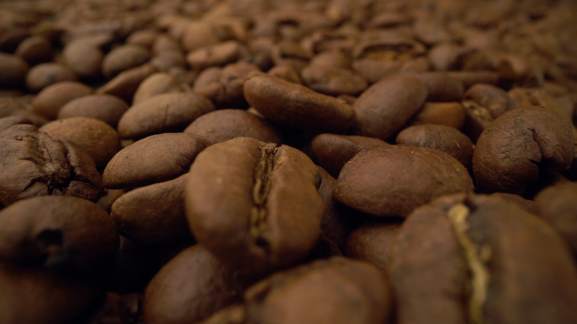 咖啡豆背景关闭咖啡种子的种子视频的预览图