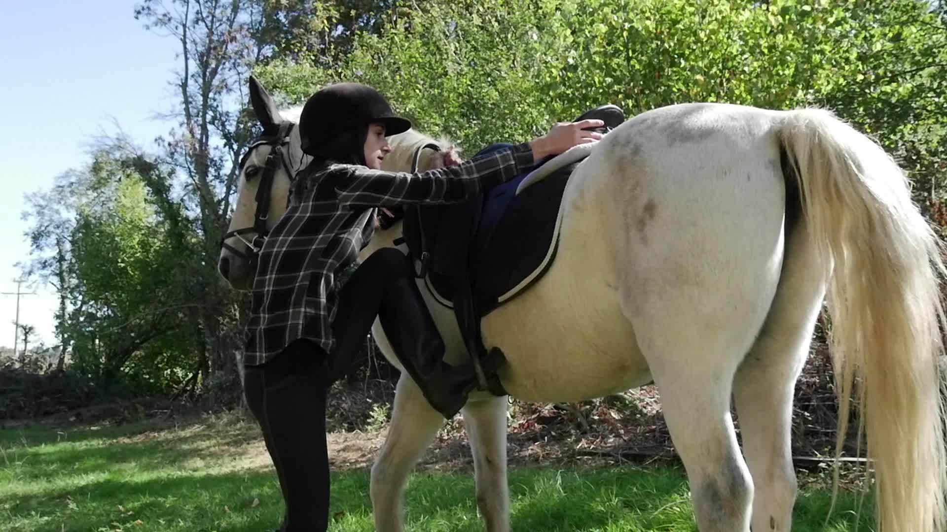 美丽的女人骑着白马视频的预览图