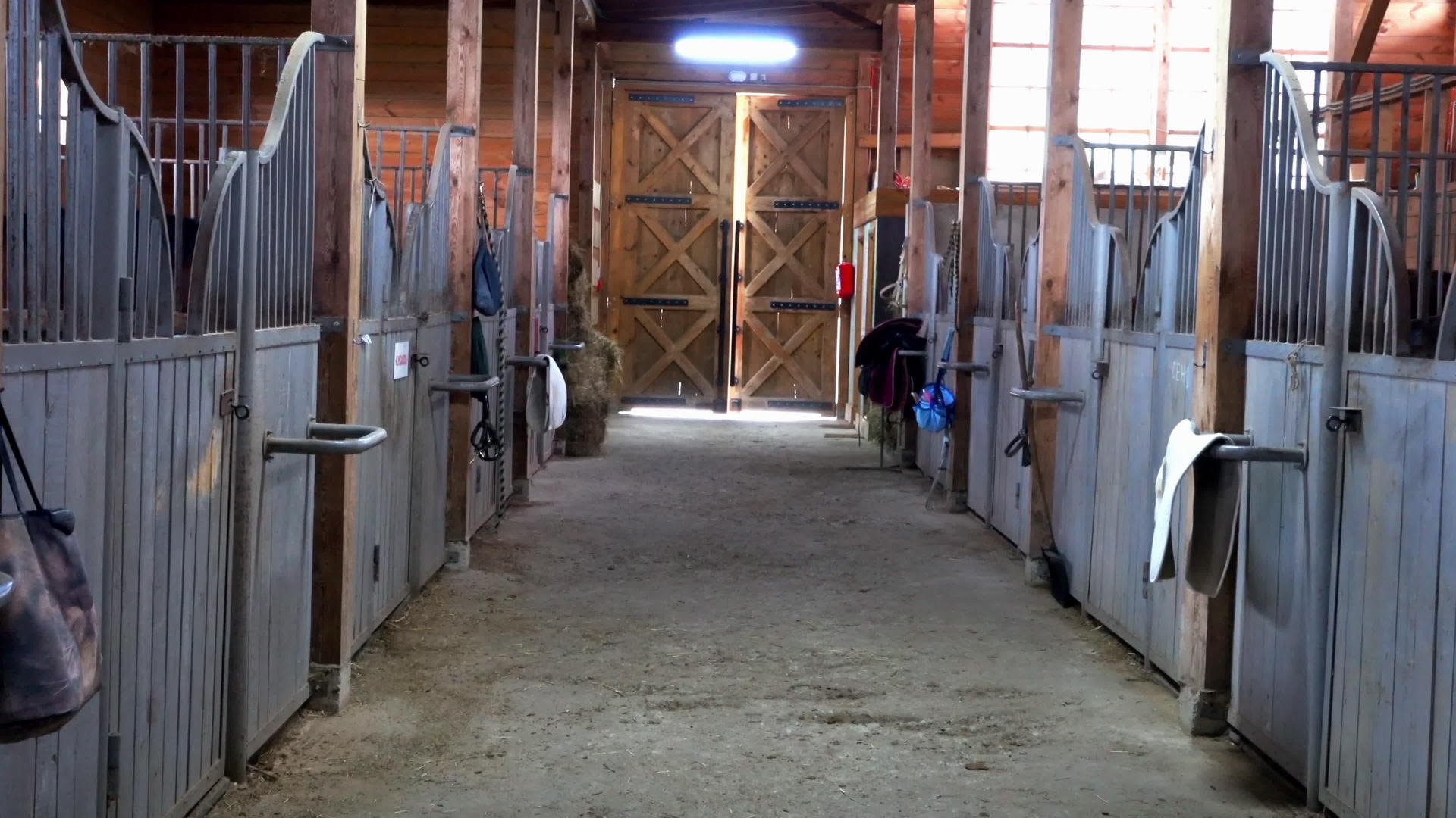 马匹稳定的农场视频的预览图