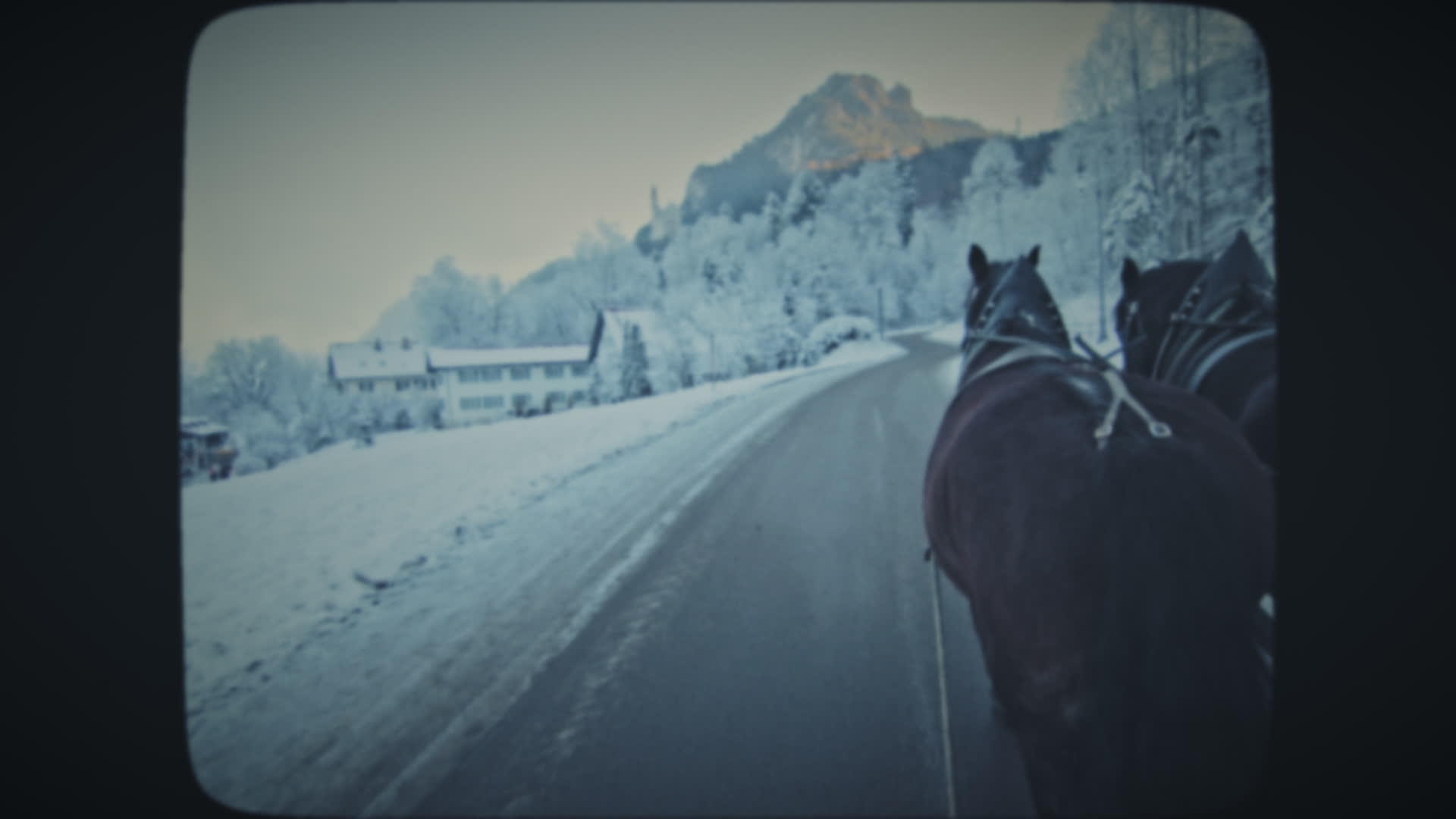 冬天两匹马拉一辆马车视频的预览图