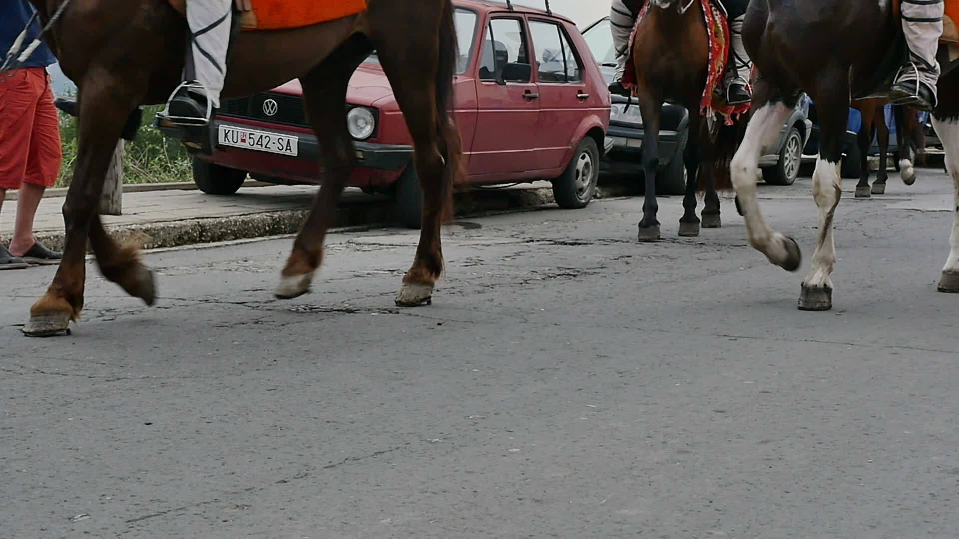 马在街上慢慢地游荡视频的预览图