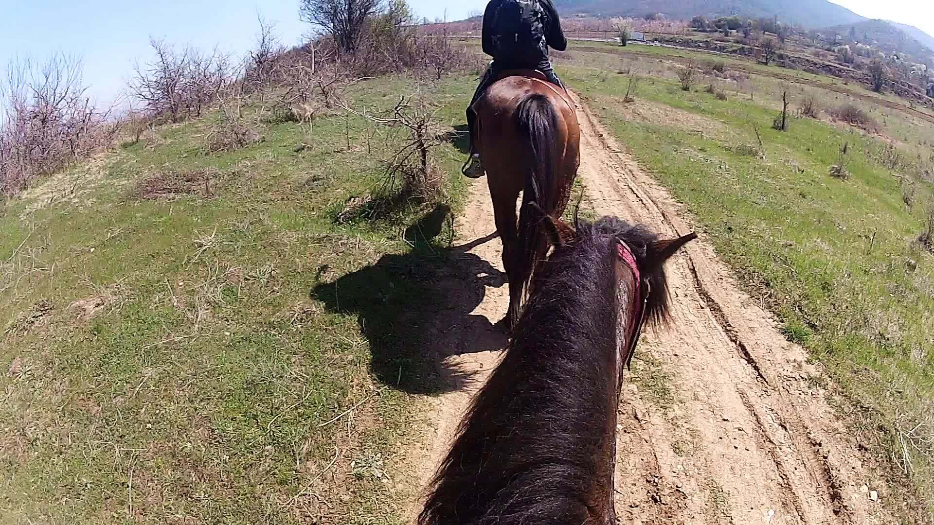在狭窄的山路上骑马视频的预览图